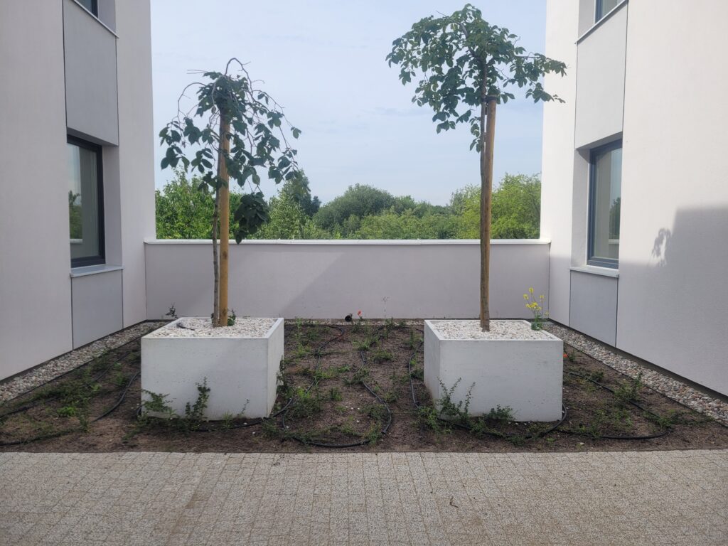 Donica betonowa kostka 100x100x50