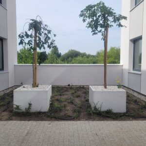 Donica betonowa kostka 100x100x50